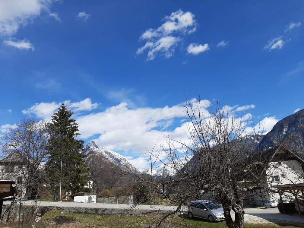 Appartamento Apartma Pri Soci Bovec Esterno foto