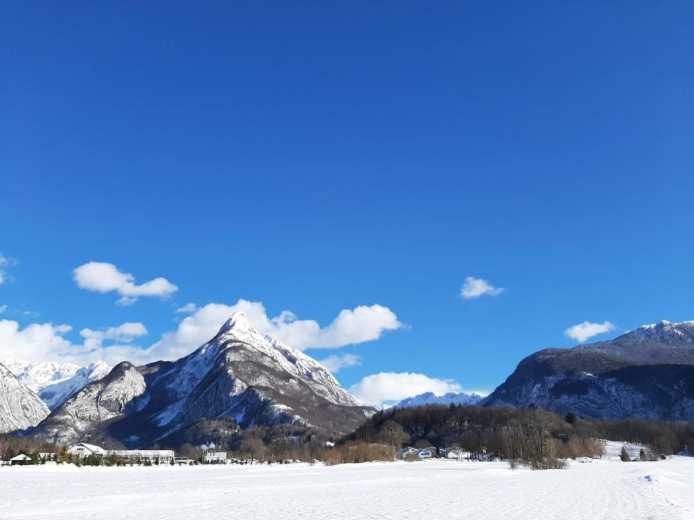 Appartamento Apartma Pri Soci Bovec Esterno foto